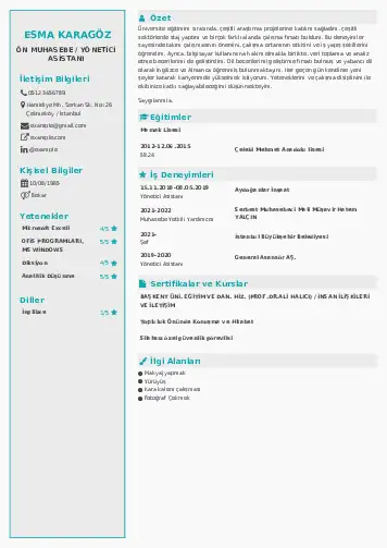 Yönetici Asistanı Cv Örnekleri cv indir